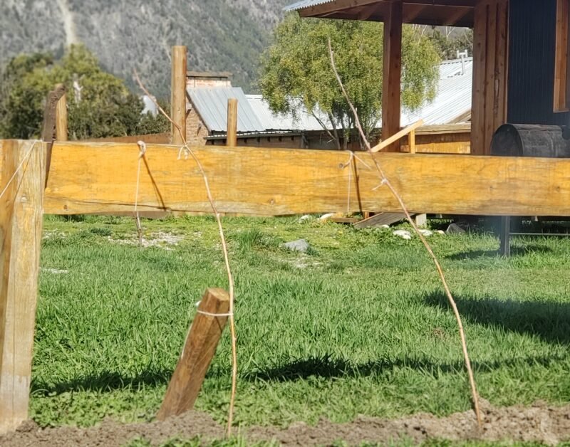 Los Lupinos